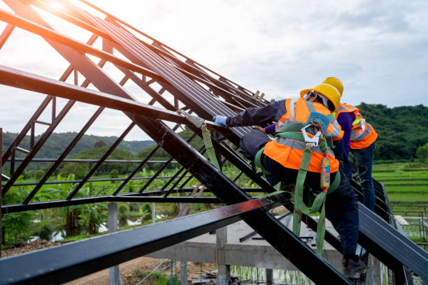 Best Storm Damage Roof Repair  in Tuscola, IL
