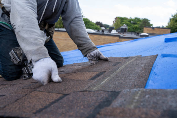 Professional Roofing Contractor in Tuscola, IL