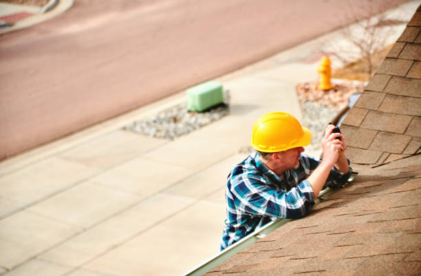 Best Roof Repair Services  in Tuscola, IL