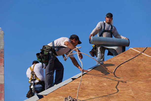 Quick and Trustworthy Emergency Roof Repair Services in Tuscola, IL