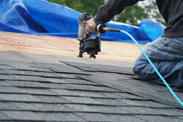 Best Roof Gutter Cleaning  in Tuscola, IL