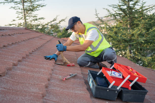 Best Roof Gutter Cleaning  in Tuscola, IL