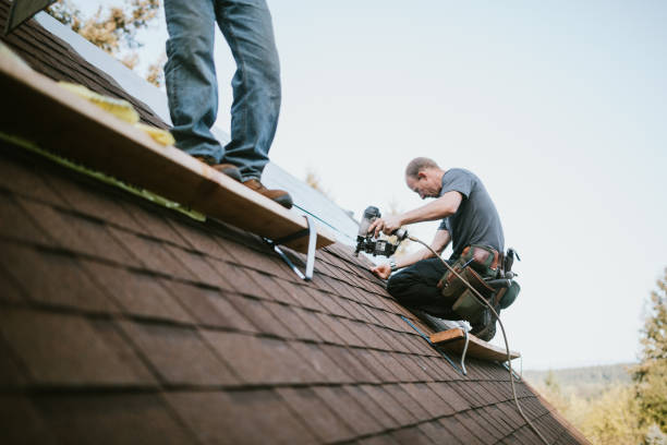 Best Metal Roofing Contractor  in Tuscola, IL